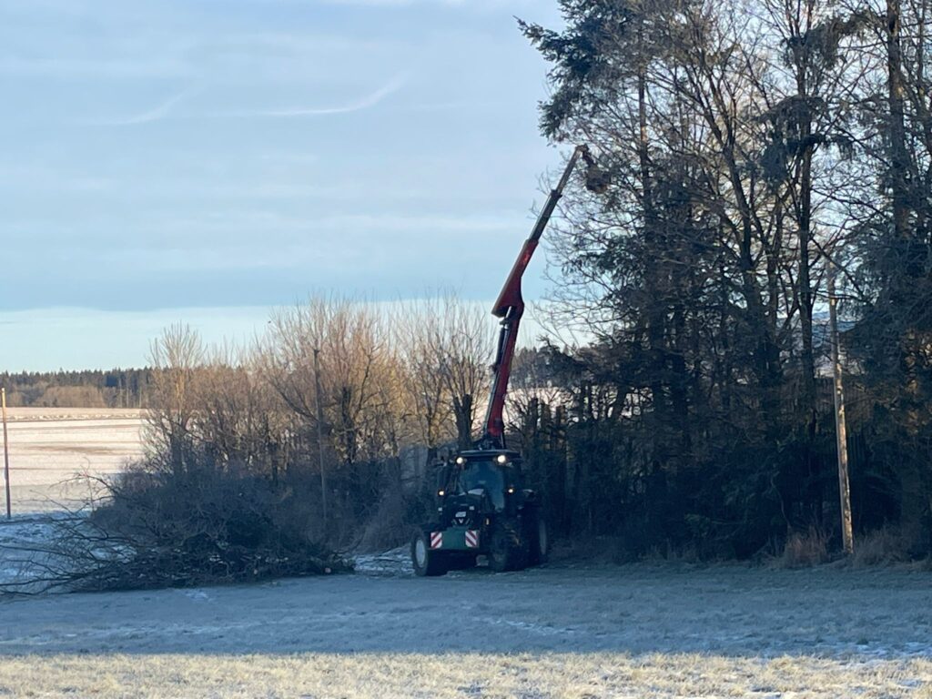 Forstarbeiten in der Höhe